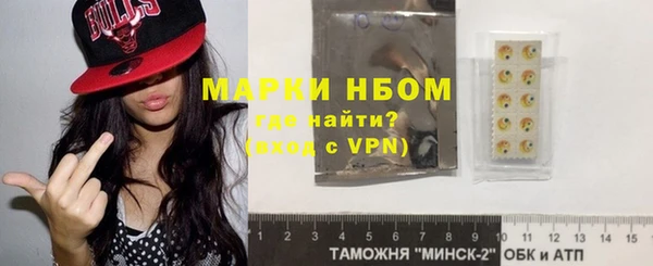 прущий лед Алзамай