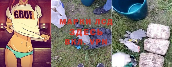 прущий лед Алзамай