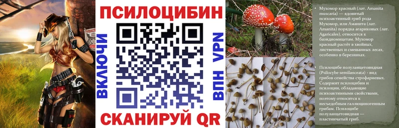 Галлюциногенные грибы ЛСД Кудрово