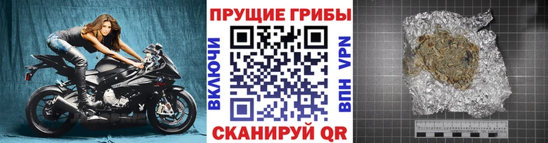Псилоцибиновые грибы MAGIC MUSHROOMS  Кудрово 