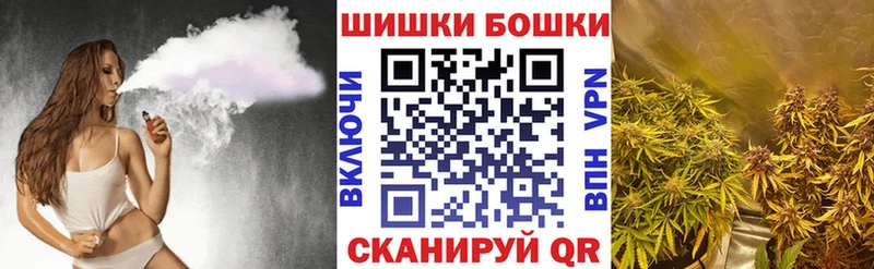 наркотики  Кудрово  Шишки марихуана MAZAR 